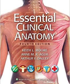 essential clinical anatomy 4th edition by keith l. moore