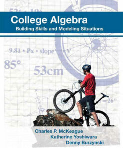 solution manual for college algebra building skills and modeling situations charles p. mckeague