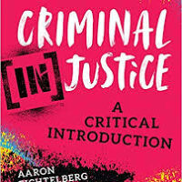 test bank for criminal injustice a critical introduction by aaron fichtelberg