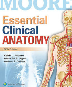 test bank for essential clinical anatomy fifth edition keith l. moore anne m.r. agur art f. dalley