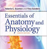 test bank for essentials of anatomy and physiology 8th edition valerie c. scanlon