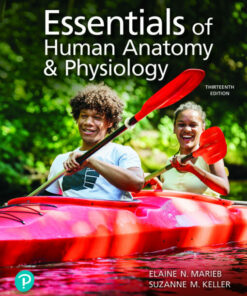 test bank for essentials of human anatomy physiology 13th edition authors elaine n. marieb and suzanne m. keller