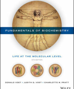 test bank for fundamentals of biochemistry life at the molecular level 5th edition donald voet