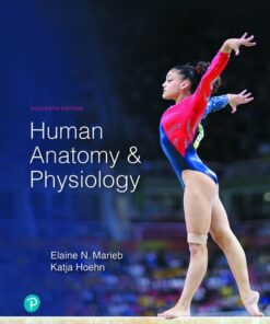 test bank for human anatomy physiology 11th edition by elaine n marieb