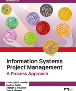 test bank for information systems project management a process approach 2.0 edition christoph schneider