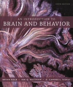 test bank for introduction to brain and behavior sixth edition bryan kolb