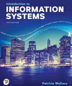 test bank for introduction to information systems 5th edition