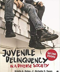 test bank for juvenile delinquency in a diverse society second edition by kristin a. bates and richelle s. swan