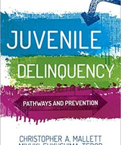 test bank for juvenile delinquency pathways and prevention first edition by christopher a. mallett and miyuki fukushima tedor