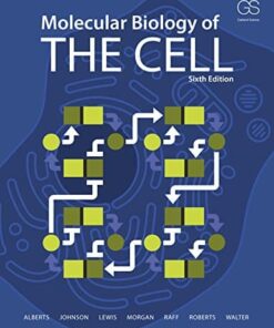 test bank for molecular biology of the cell 6th edition by bruce alberts