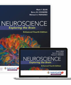 test bank for neuroscience exploring the brain enhanced edition fourth edition mark bear