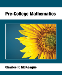 test bank for pre college mathematics by charles p. mckeague