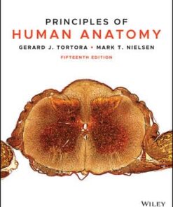 test bank for principles of human anatomy 15th edition gerard j. tortora