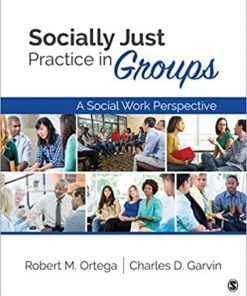 test bank for socially just practice in groups first edition by robert m. ortega and charles d. garvin