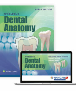 test bank for woelfels dental anatomy ninth edition rickne c. scheid