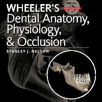 wheelers dental anatomy physiology and occlusion 10th edition stanley nelson test bank