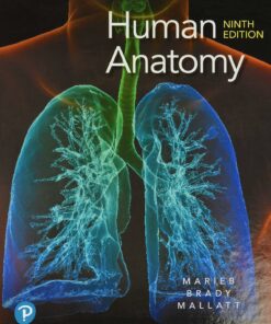 Test Bank For Human Anatomy 9th Edition Elaine N Marieb