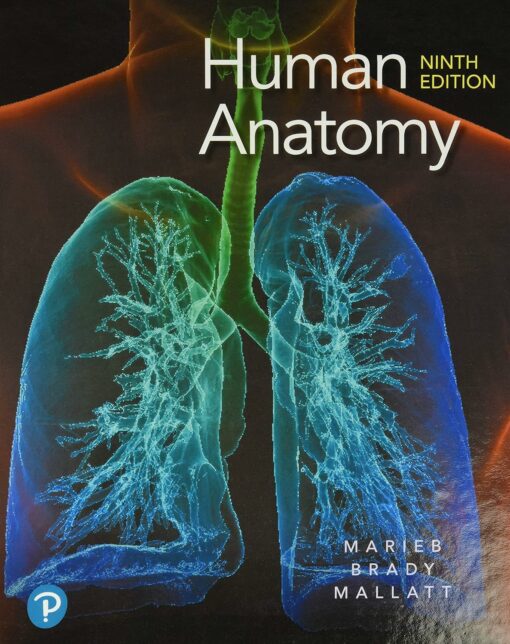 Test Bank For Human Anatomy 9th Edition Elaine N Marieb