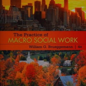Manual solution For The Practice of Macro Social Work 4 by William G Brueggemann