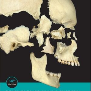 Test Bank For Principles of Human Anatomy 14th by Gerard J. Tortora, Mark Nielsen