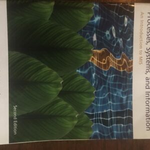 Test Bank For Processes, Systems, and Information: An Introduction to MIS 2th by Earl McKinney, David Kroenke