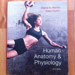 Manual solution For Human Antaomy & Physiology 9th Ed. Marieb Hoehn (Human Anatomy & Physiology 9th Edition) 9th by Elaine N. Marieb, Katja Hoehn