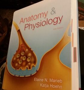 Manual solution For Anatomy & Physiology (5th Edition) 5 by Elaine N. Marieb, Katja N. Hoehn