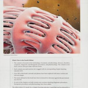 Manual solution For Medical Language for Modern Health Care 4 by David Allan, Rachel Basco