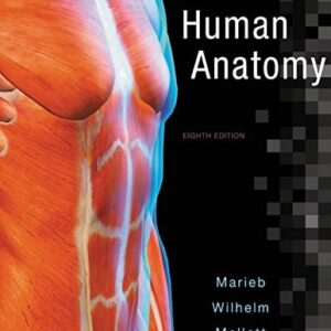 Test Bank For Human Anatomy (8th Edition) 8th by Elaine N. Marieb, Patricia Brady Wilhelm, Jon B. Mallatt
