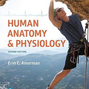 Manual solution For Human Anatomy & Physiology (Masteringa&p) 2 by Erin Amerman
