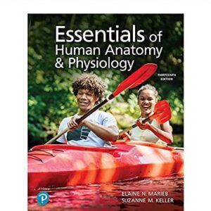 Test Bank For Essentials of Human Anatomy and Physiology [RENTAL EDITON] 13th by Suzanne Keller