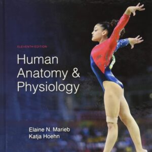 Manual solution For Human Anatomy & Physiology 11 by Elaine Marieb, Katja Hoehn