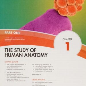 Test Bank For Human Anatomy 4th by Kenneth Saladin