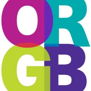 Manual solution For ORGB 3CE 3 by Nelson/Quick/Armstrong/Roubecas/Condie