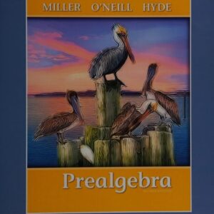 Test Bank For Prealgebra 2th by Julie Miller, Molly O'Neill, Nancy Hyde