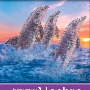 Test Bank For Introductory Algebra 3th by Julie Miller, Molly O'Neill, Nancy Hyde
