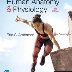 Test Bank For Human Anatomy & Physiology [RENTAL EDITION] 3th by Erin Amerman