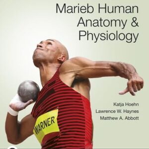 Manual solution For Marieb Human Anatomy & Physiology (12th Edition) RENTAL EDITION by Katja Hoehn