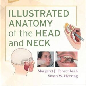 Test Bank For Illustrated Anatomy of the Head and Neck 6th by Margaret J. Fehrenbach RDH MS, Susan W. Herring PhD