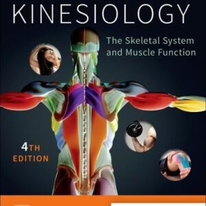 Manual solution For Kinesiology: The Skeletal System and Muscle Function 4 by Joseph E. Muscolino DC